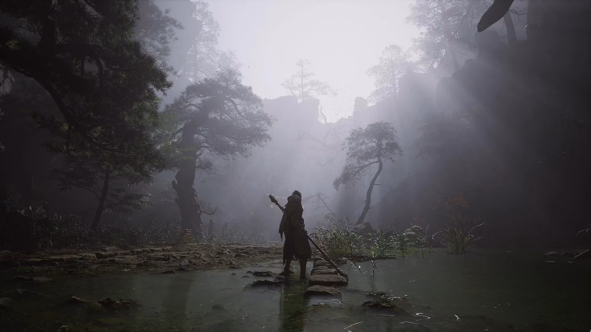 black-myth-wukong-vs-lies-of-p-a-comparative-analysis-of-two-action-rpg-giants-in-2026-image-1